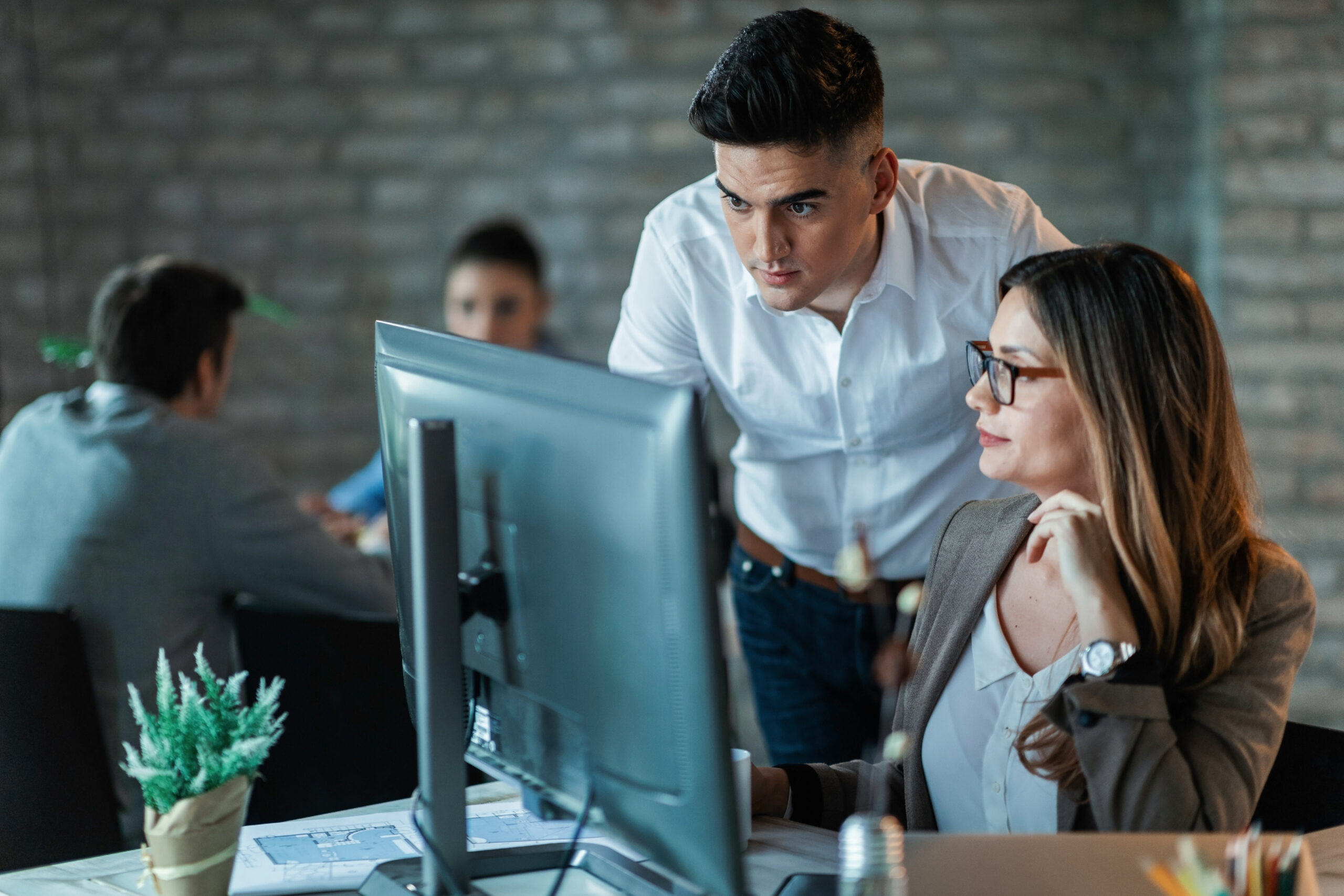 Software Development Consulting